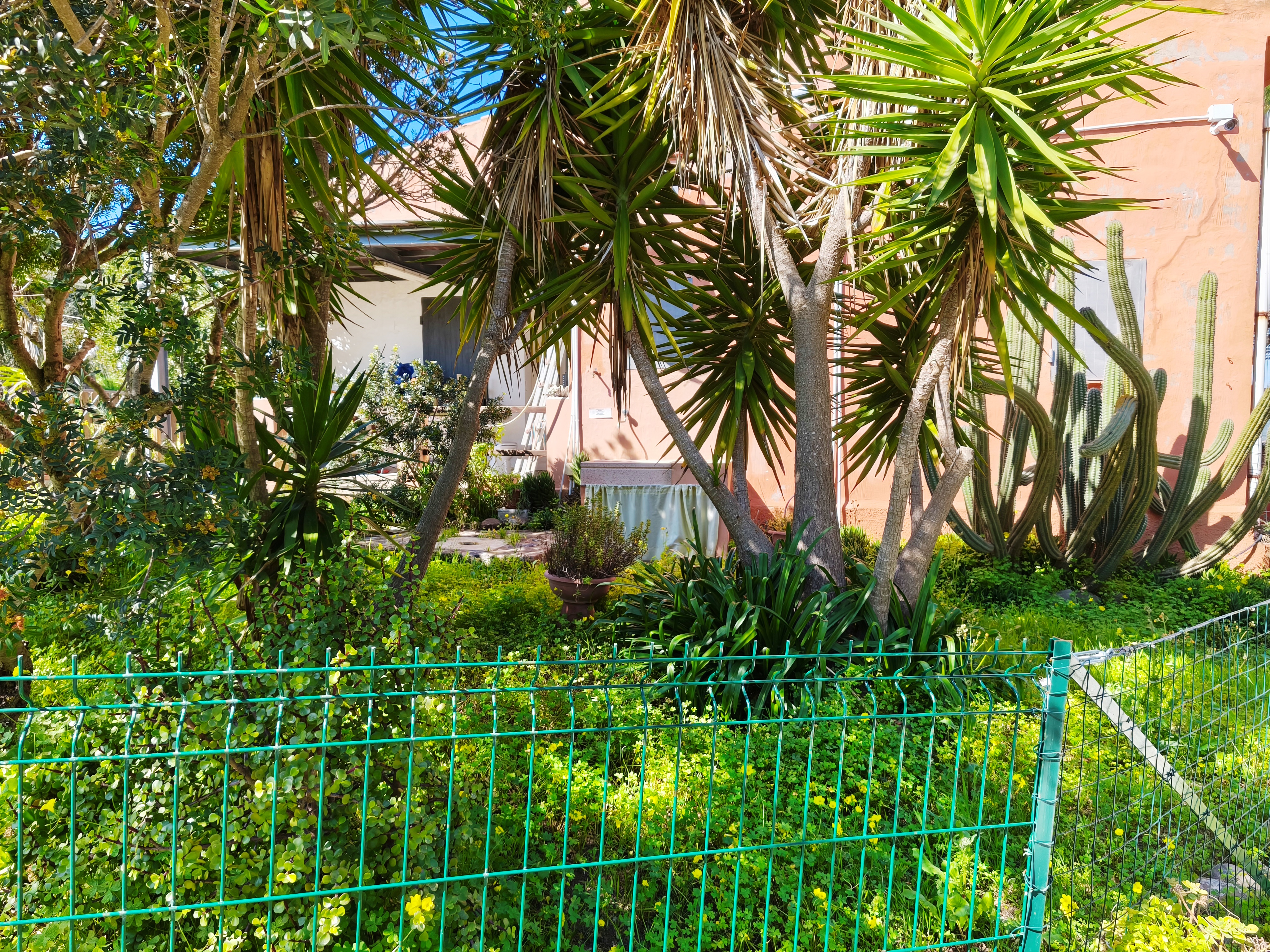 Dettaglio Safari Lodge
